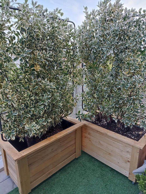 2 pots longs